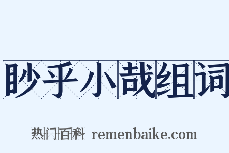 眇乎小哉组词是什么意思的图片